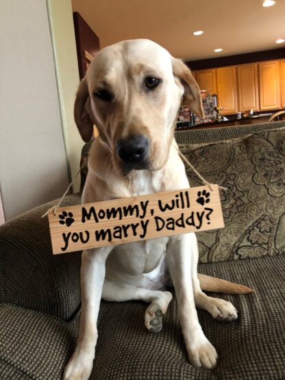 Wooden Dog Engagement Sign, Proposal Sign, Handmade Personalized Dog Wall Hanging Sign, Wedding Sign, Large Dog Small Dog, Mommy Marry Daddy