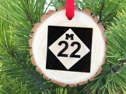 Highway Sign Ornament M22, Michigan, Coastal Highway Sign, Wood Slices, Cars Movie, Interstate Sign, Harley Davidson, Free Personalization